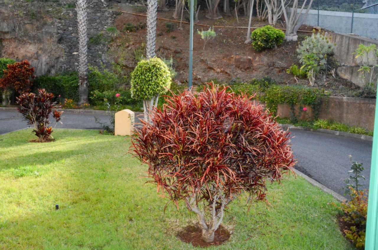 Vista Formosa Funchal Apartment Bagian luar foto